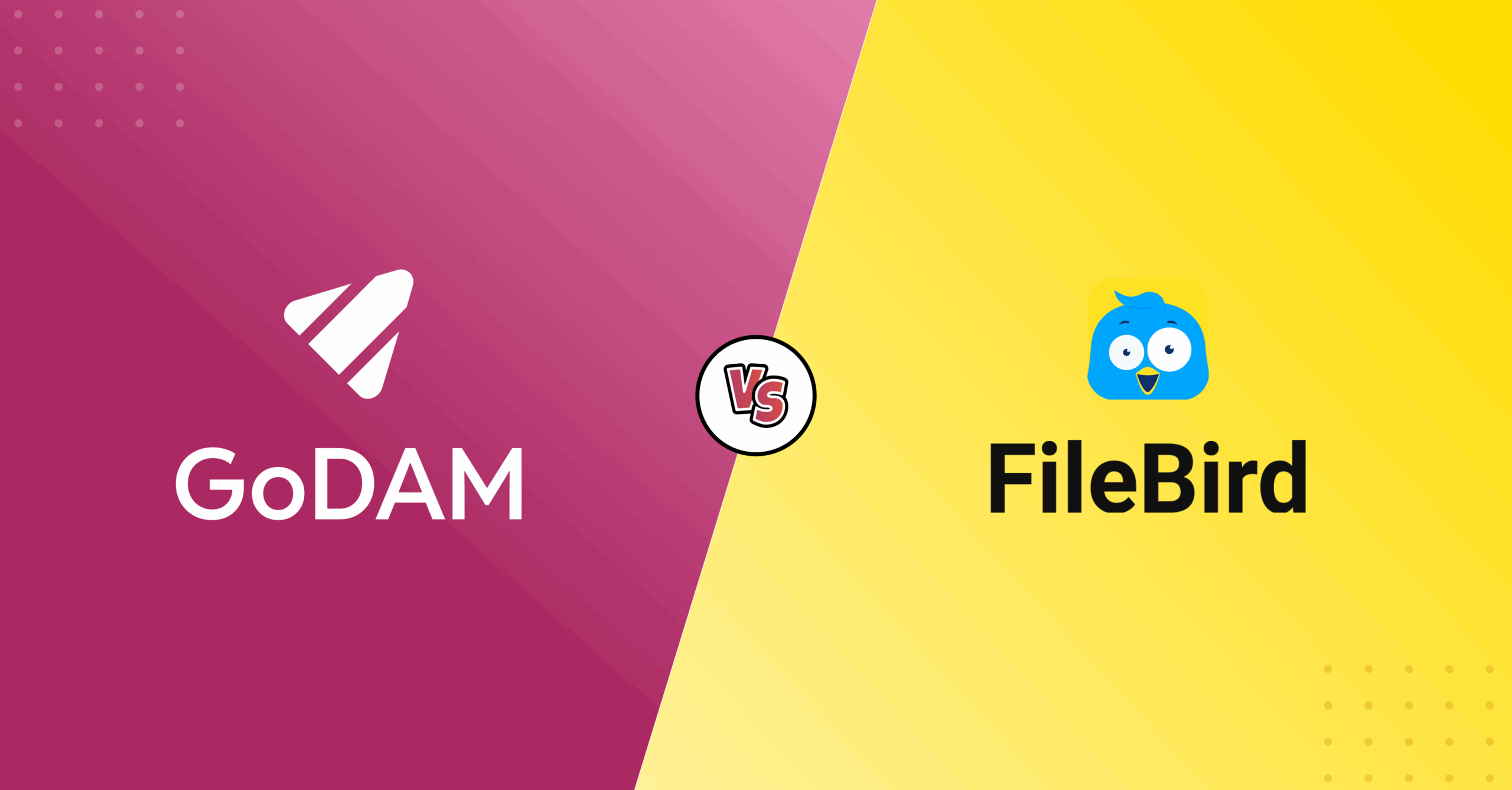 GoDAM vs FileBird